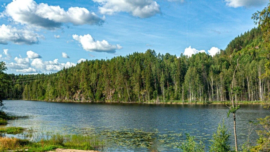 Рыбалка на Ладоге